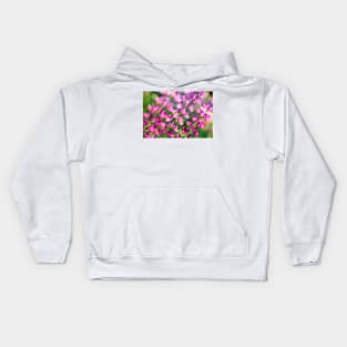 Lupine Kids Hoodie